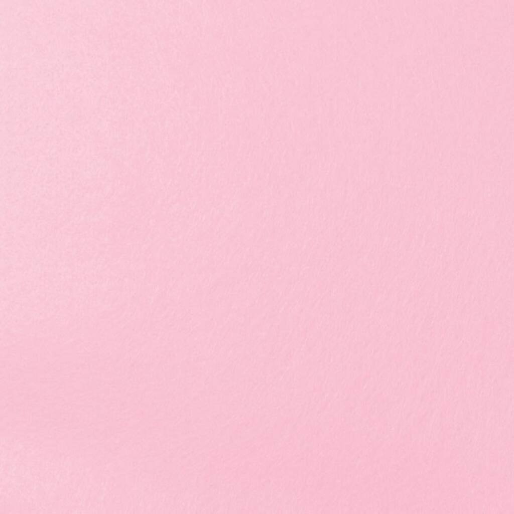 Baby Pink  Felt  Baby Pink  Felt